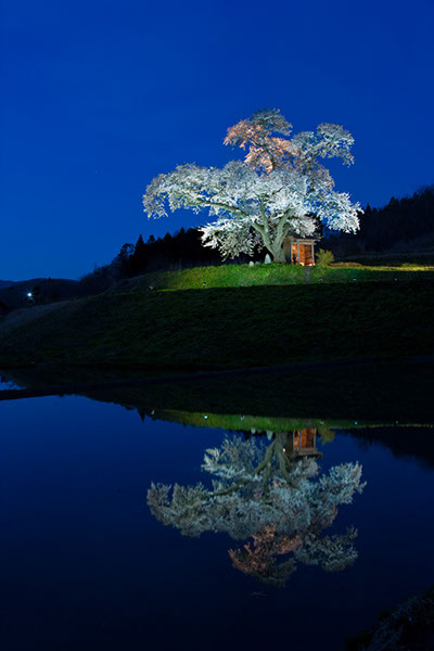 sa小沢のサリラ0132