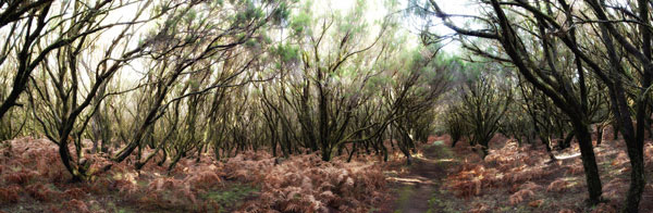 20101109_024-Panorama