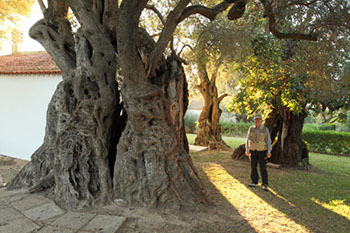 ポルトガルツアー