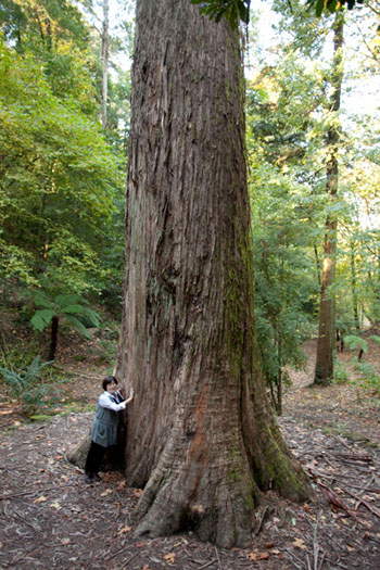 ポルトガルツアー