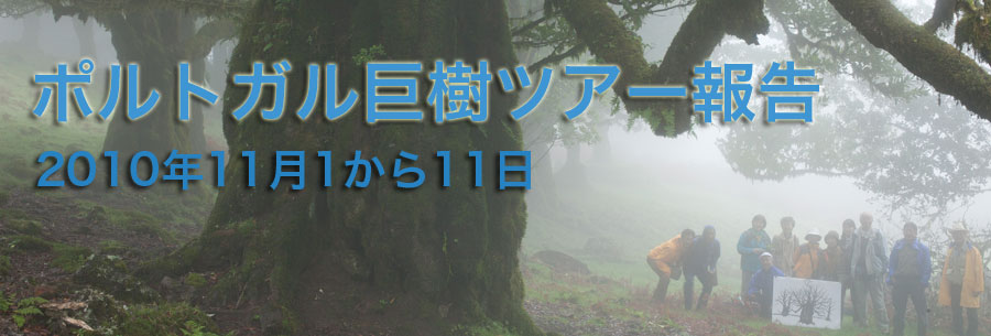 ポルトガルツアー