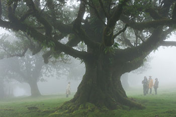 ポルトガルツアー