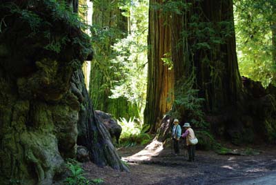 CA__isikawa20100612_0000