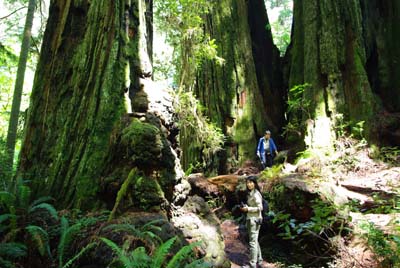 CA__isikawa20100612_0001