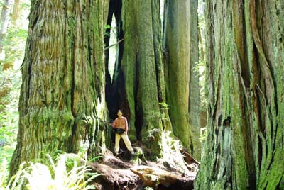 CA__isikawa20100612_0002