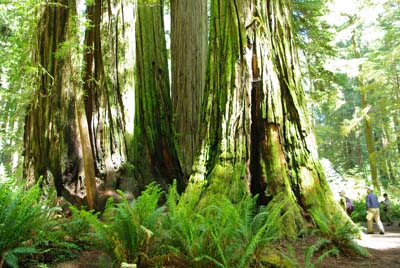 CA__isikawa20100612_0003