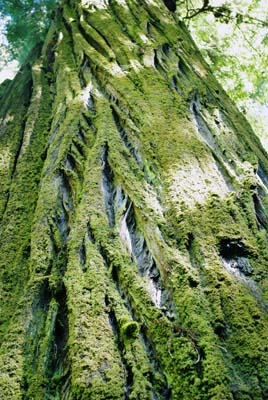 CA__isikawa20100612_0004