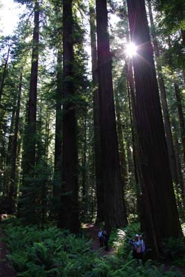 CA__isikawa20100613_0008