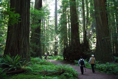 CA__isikawa20100613_0009