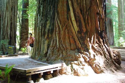 CA__isikawa20100613_0010