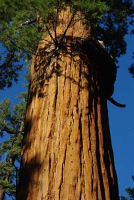 CA__isikawa20100614_0012