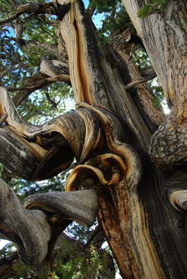 CA__isikawa20100616_0015