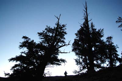 CA__isikawa20100616_0017