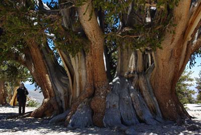 CA__isikawa20100617_0019