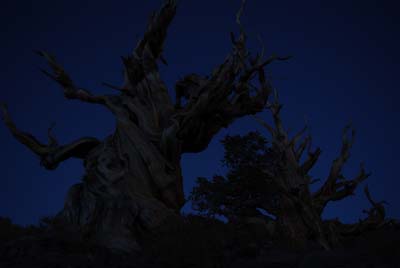 CA__isikawa20100617_0024