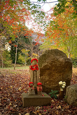 九品寺の境内はちょうど秋色に染まっていて、イチョウの黄色や、モミジの紅葉がとても綺麗だった。