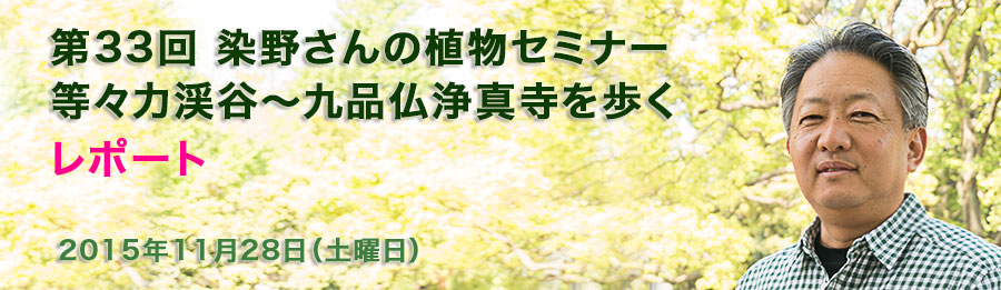 第33回 染野さんの植物セミナー 等々力渓谷～九品仏浄真寺を歩く レポート