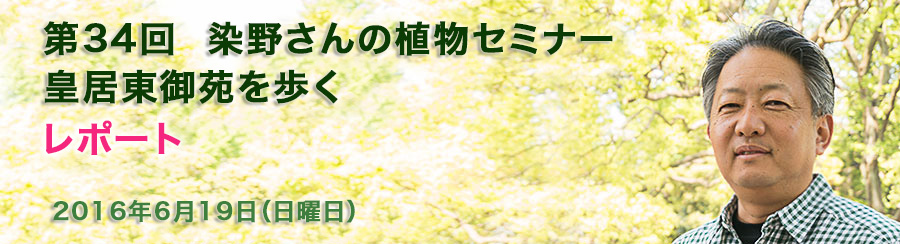 第34回 染野さんの植物セミナー 皇居東御苑を歩く　レポート