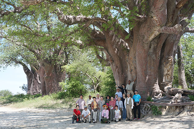 アフリカツアー