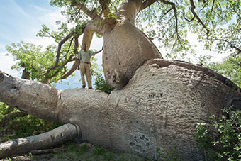 アフリカツアー